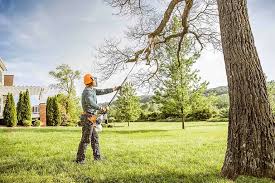 Best Soil Testing and Treatment  in Lambertville, NJ