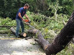 Best Lawn Grading and Leveling  in Lambertville, NJ